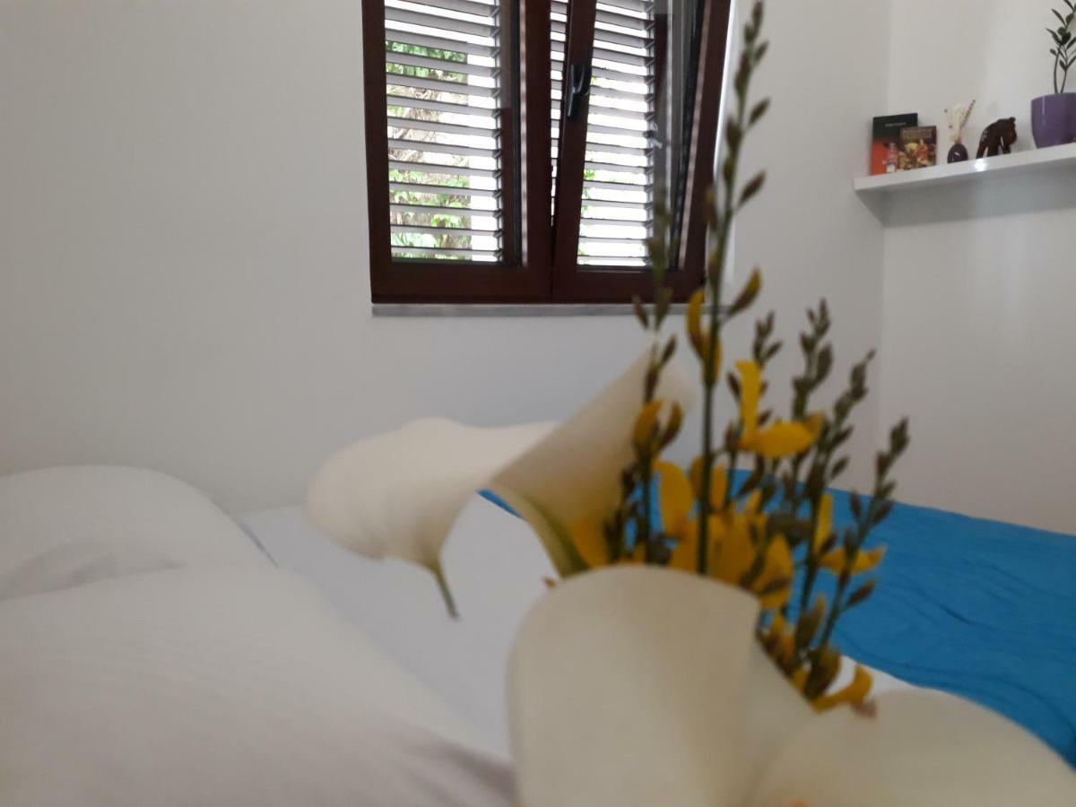 Apartments Ardura Petrovac Exterior photo